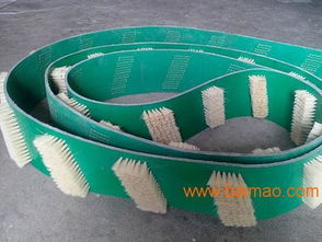 安徽皮带毛刷产业与空气净化器应用 供应、加盟与生产厂家全解析